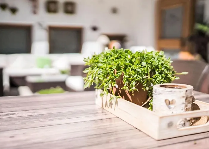 Panorama By Interhome